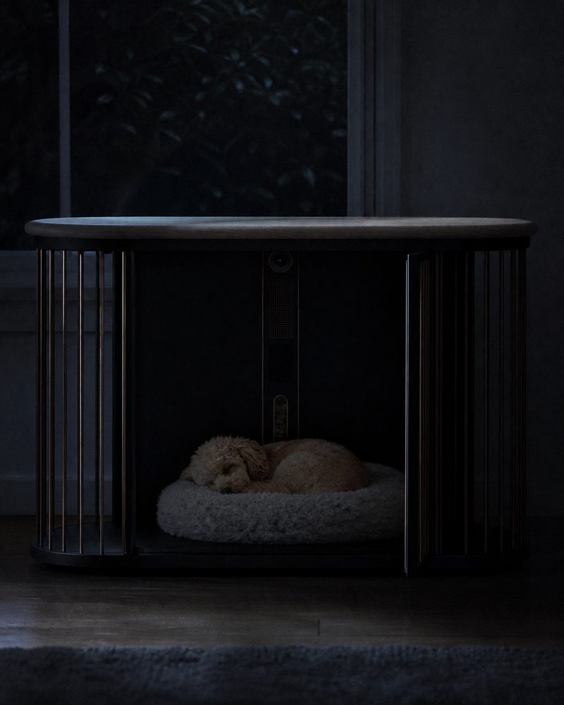 Peanut sleeps inside her den in a dark room edged with moonlight