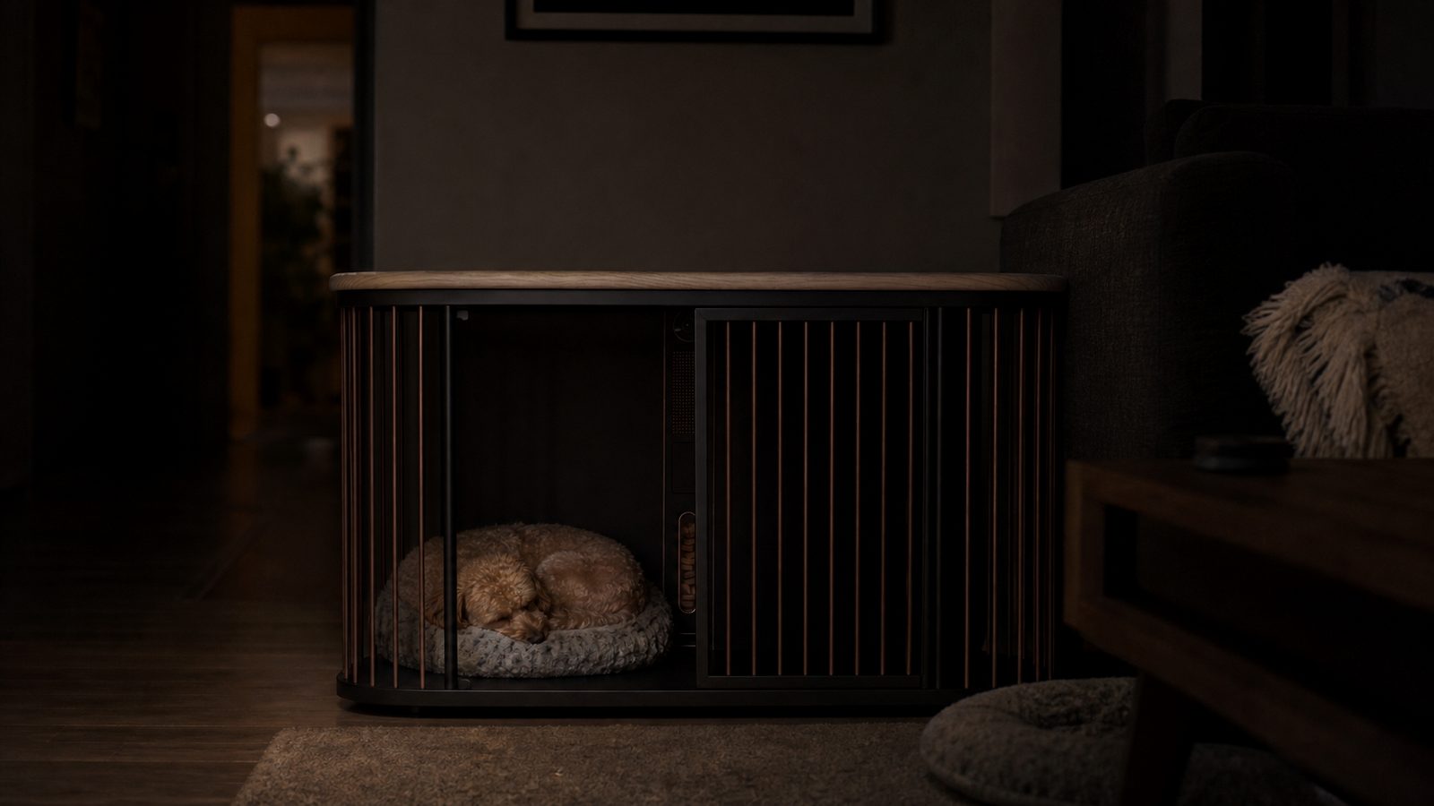 Peanut sleeps inside Denn in a nearly dark living room while moonlight traces the oak and bronze